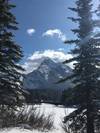 Photo d'avis client sur Circuit d'exploration hivernale de 4 jours dans les Rocheuses 4