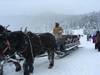 Photo d'avis client sur Circuit d'exploration hivernale de 4 jours dans les Rocheuses 3