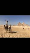 Pharaohs Nile Cruise Adventure - 5 Star customer review photo 1