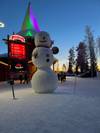 Express Grand Lapland Tour, Finland, Sweden and Norway with activites customer review photo 6