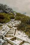 Photo d'avis client sur Trek sur la piste de Cradle Mountain Overland Track 3