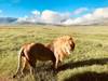 7-tägige Camping-Safari zu den meistbesuchten Nationalparks in Afrika Foto von Kundenbewertung 1