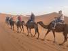 Marrakech, Desert, Fes & Chefchaouen - 9 Days customer review photo 3