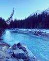 4-Day Canadian Rockies Summer Explorer Tour customer review photo 2
