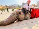 Photo d'avis client sur Triangle d'or et legs du Rajasthan 2
