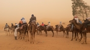 Best 8 Day Desert Tour From Marrakech customer review photo 1