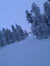Christmas adventure to Northern Lapland, Saariselkä customer review photo 1