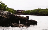 Photo d'avis client sur L'aventure ultime des îles Galápagos 3