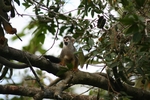 Photo d'avis client sur 4 jours Amazon Lodge Réserve Cuyabeno 3