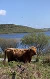 Photo d'avis client sur Le sentier des Highlands inspiré par Outlander 1