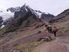 Photo d'avis client sur Trek de Lares au Machu Picchu 4 jours 3 nuits 1