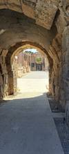 Holyland Journey with Private Tour Guide - 8 Days customer review photo 5