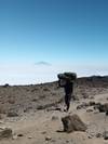 Photo d'avis client sur Kilimandjaro - Route de Machame et aventure au Serengeti 2