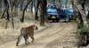 Photo d'avis client sur Circuit du Triangle d'Or avec safari animalier à Ranthambore depuis Delhi 2