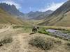 Kazbegi Hiking - 3 Day Group Tour customer review photo 4