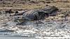 Photo d'avis client sur Aventure au Botswana (including Parc national Makgadikgadi Pan) 6
