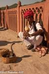 Photo d'avis client sur Triangle d'or et legs du Rajasthan 5