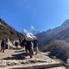 Photo d'avis client sur Trek du camp de base de l'Everest - 14 jours 1