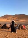 Photo d'avis client sur 3 jours d'excursion dans le désert de Marrakech à Merzouga - Camp de luxe 3