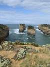 Photo d'avis client sur 3 jours d'aventure terrestre d'Adélaïde à Melbourne (avec hébergement) 1