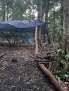 Photo d'avis client sur Jungle amazonienne - 3 jours 4