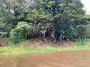 Photo d'avis client sur Jungle amazonienne - 3 jours 6