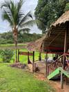 Photo d'avis client sur Jungle amazonienne - 3 jours 5