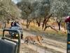 Photo d'avis client sur Triangle d'or et Rajasthan rustique 4