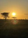 29-day Kruger & Victoria Falls to Serengeti (Camping) customer review photo 4