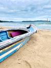 Photo d'avis client sur A travers les meilleurs sites du Sri Lanka 4