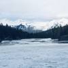 Photo d'avis client sur Circuit d'exploration hivernale de 4 jours dans les Rocheuses 2