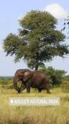 Kruger National Park & Panorama Route Safari - 3 days customer review photo 1