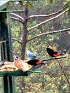 Photo d'avis client sur Costa Rica exotique 5