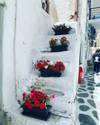 Island Hopping Greek Islands Delights: Mykonos, Paros, Santorini customer review photo 5