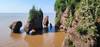 Photo d'avis client sur Merveilles de la baie de Fundy 5