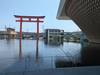Photo d'avis client sur 7 jours - Les points forts du Japon 2025-2026 4