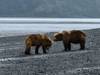 Photo d'avis client sur Aventure en Alaska - 20 jours 1