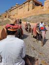Adventures in Rajasthan customer review photo 2