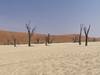 Photo d'avis client sur Aventure en Namibie - Camping - 5 jours / 4 nuits 4