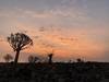 Photo d'avis client sur Safari de 7 jours en camping dans le sud de la Namibie et à Sossusvlei 4
