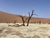 Photo d'avis client sur Safari de 7 jours en camping dans le sud de la Namibie et à Sossusvlei 3