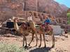 Photo d'avis client sur Découvrez la cité perdue de Petra et Wadi Rum 1