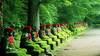 Photo d'avis client sur Paysages du Japon 5