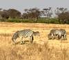 Photo d'avis client sur Safari dans le parc national de Hwange - 3 jours 2