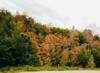 Photo d'avis client sur Feuilles d'automne de la Nouvelle-Angleterre (Classique) 5