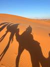 Photo d'avis client sur Le meilleur du Maroc : 7 jours au départ de Casablanca 3