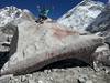Everest Base Camp Trek -14 Days customer review photo 4