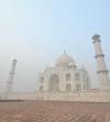 Taj Mahal Overnight Tour From Delhi By Car customer review photo 2