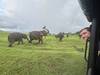 Photo d'avis client sur Circuit privé au Sri Lanka pour la faune et la flore 2024 2