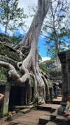 Photo d'avis client sur L'Asie du Sud- Est en 10 jours - Baie d'Halong / Siem Reap / Bangkok 2